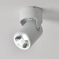 Silicon Neon Profile Tube Light (10 Meter)